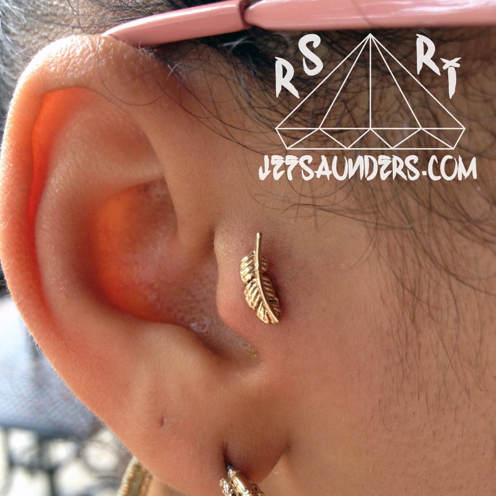 A Tragus Piercing With Gold Feather From Body Vision Los Angeles Yelp Photo Of Rockstar Body Piercing Providence Ri United States A Tragus