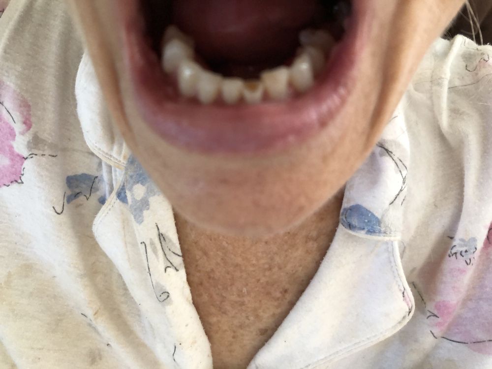 image of business Bluffton Dental Care