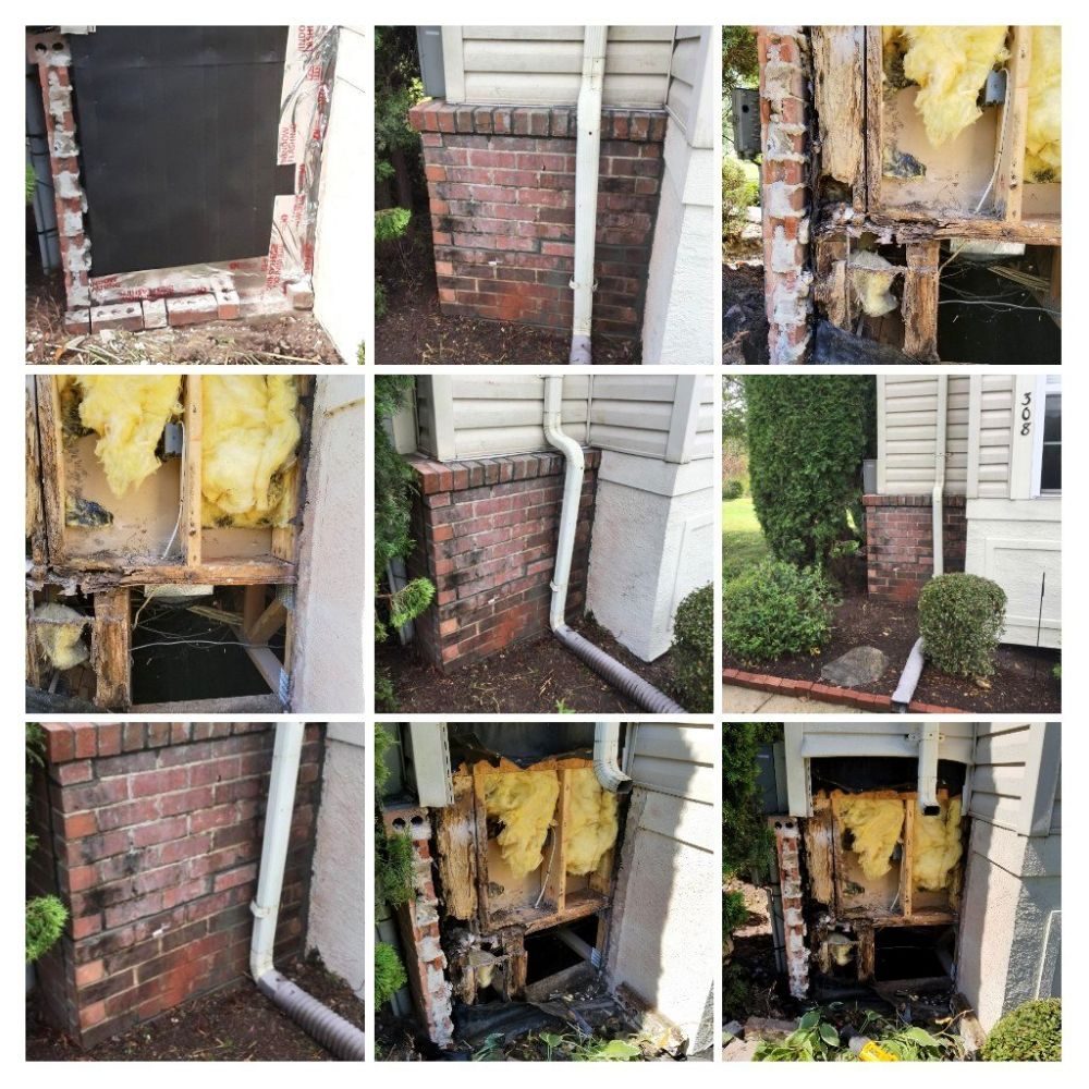 image of business Davies & Sons Handymen