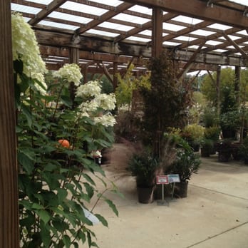 Fairview Garden Center 42 Photos 15 Reviews Nurseries Photo Of Fairview Garden Center Raleigh Nc United States