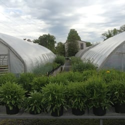 Williams Greenhouses Nursery Nurseries Gardening 45865 Photo Of Williams Greenhouses Nursery Sterling Va United States A Dozen