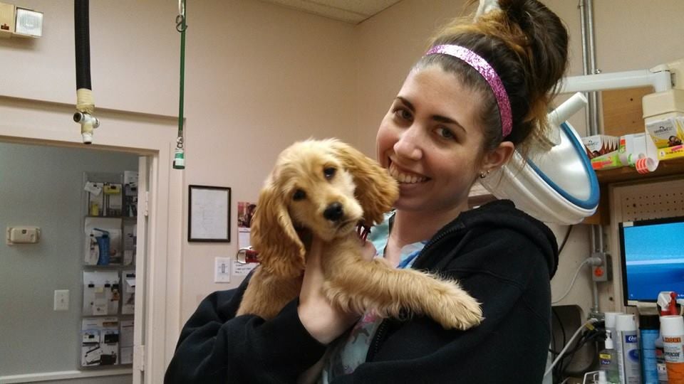 Countryside Animal Clinic 27 Photos & 49 Reviews Veterinarians