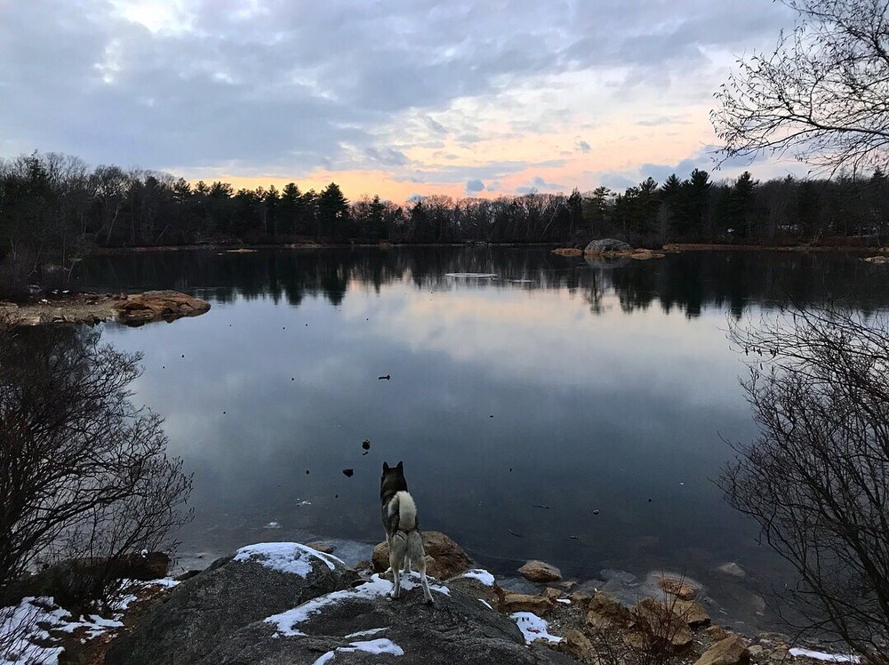 photos for breakheart reservation yelp