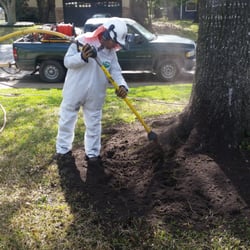Texas Tree Team 46 Photos 25 Reviews Services 865 Photo Of Texas Tree Team Houston Tx United States Compacted Soils In