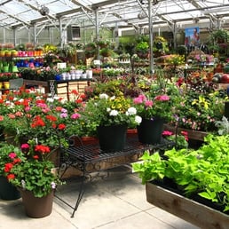 Photos For Homewood Nursery Garden Center Yelp Photo Of Homewood Nursery Garden Center Raleigh Nc United States The