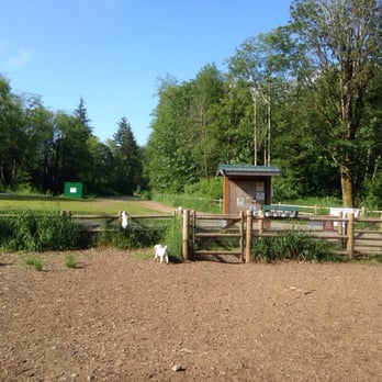 Willis Tucker Dog Park Snohomish Wa Willis Tucker Dog Park Snohomish Wa