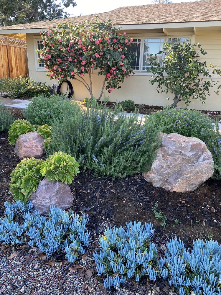 U-Save Rockery - San Jose