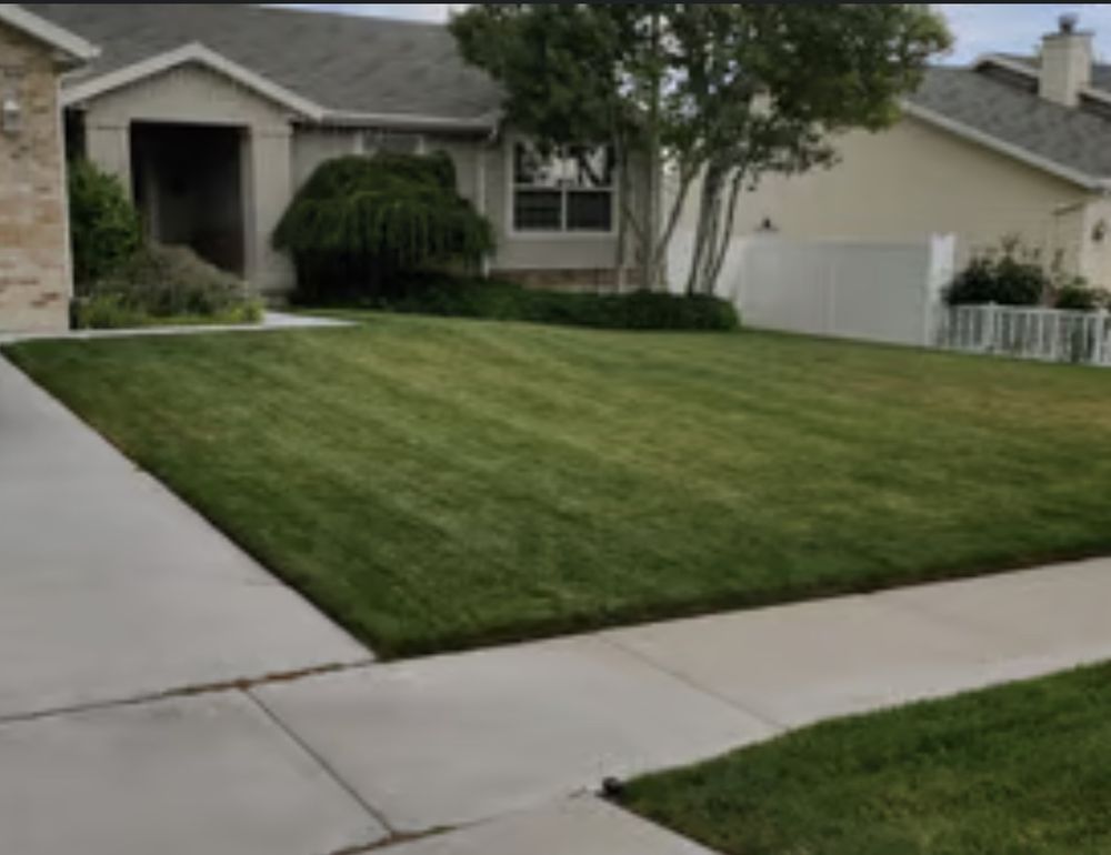 Everyday Lawn Solutions