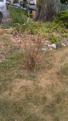 Lawn Doctor Of Se Mercer Middle County 7 Jules Ln F New Lawn Doctor Of Se Mercer Middle County 7 Jules Ln F New Brunswick Nj Services Mapquest