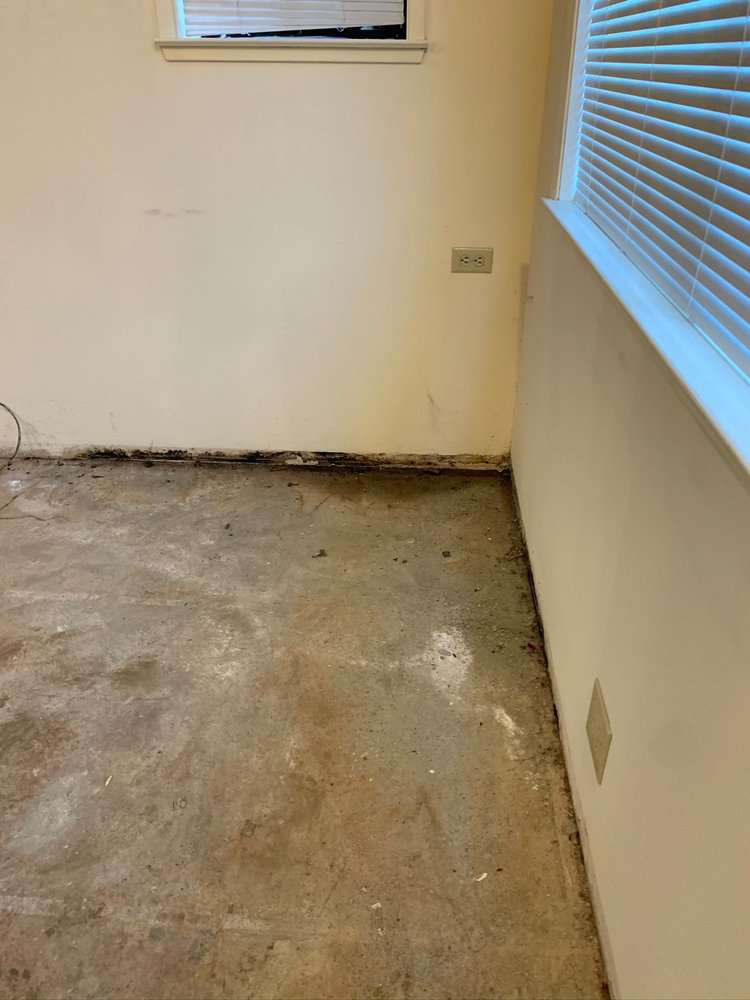 Pre-Spect Building Inspection & Analysis