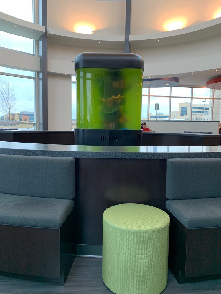image of business Norman Pediatric Associates