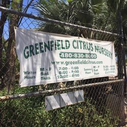 Greenfield Citrus Nursery 16 Photos 13 Reviews Nurseries Photo Of Greenfield Citrus Nursery Mesa Az United States