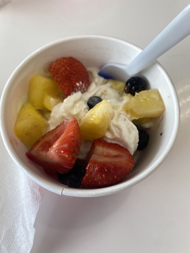 sweetFrog Premium Frozen Yogurt