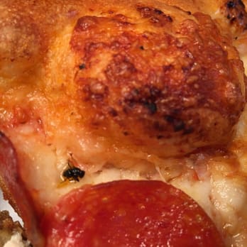 Marchello's pizza lutz coupons