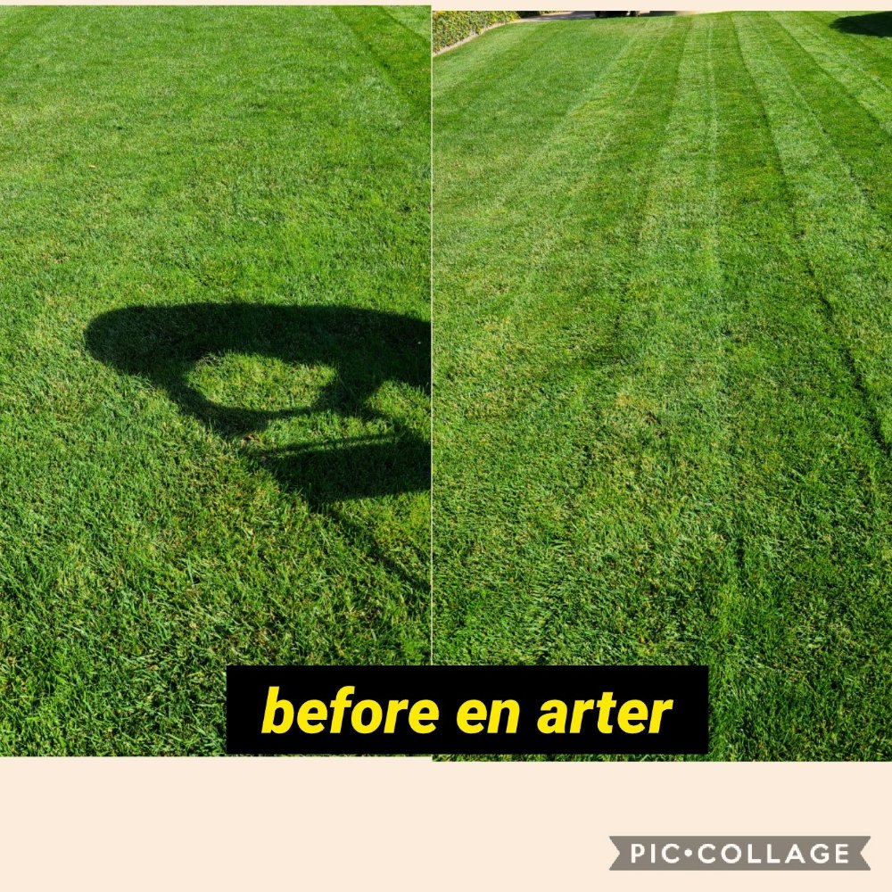 Juan Delgado Gardening Services