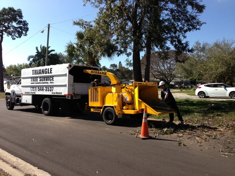 Tree Service T Removal Stump Grinding Yelp