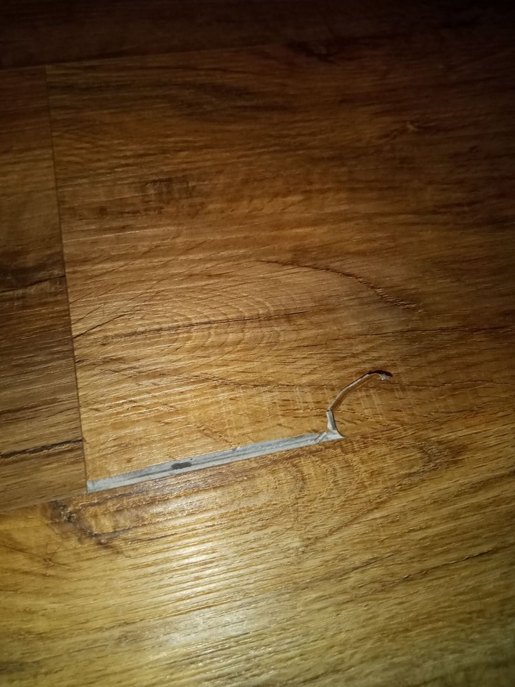 image of business Just a Dollar Floor