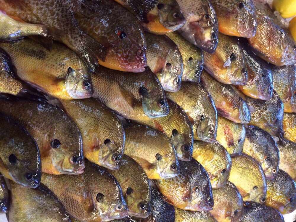 Mr Sea’s Fresh Fish & Seafood Seafood Markets 12500 E Warren Ave, Detroit, MI Restaurant