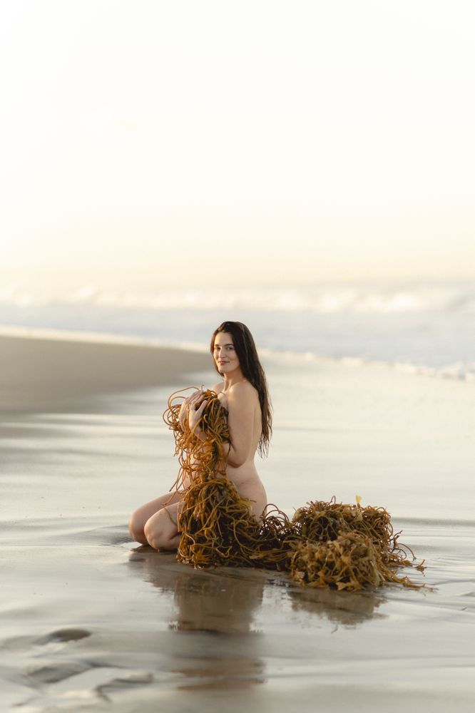 Kristine Boel Photography