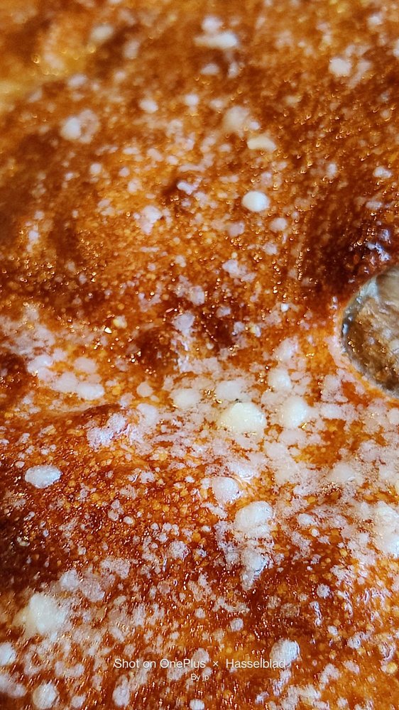 Mellow Mushroom - Mount Dora