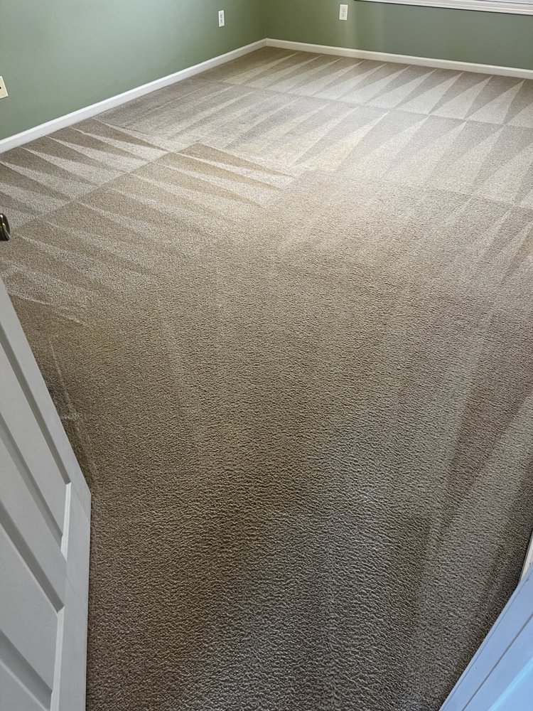 Real Clean Carpet Care