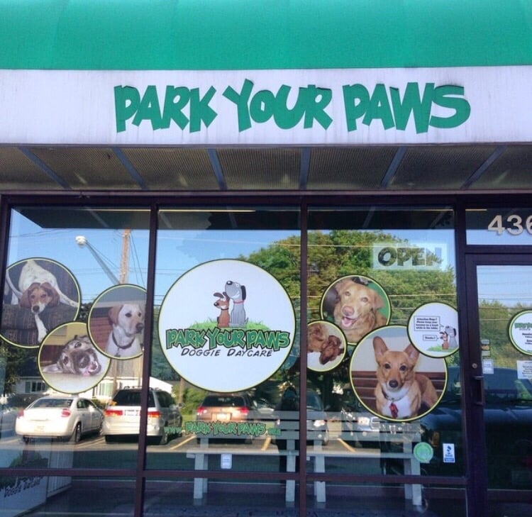 Park Your Paws 10 Reviews Pet Services 4366 Indianola Ave