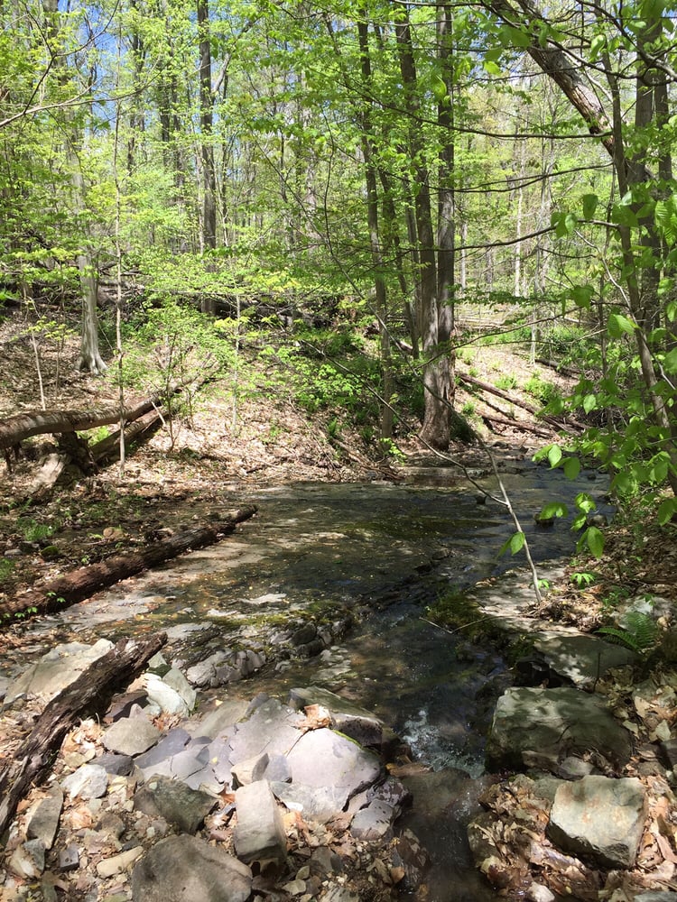 Green Lane Park 2019 All You Need to Know BEFORE You Go (with Photos