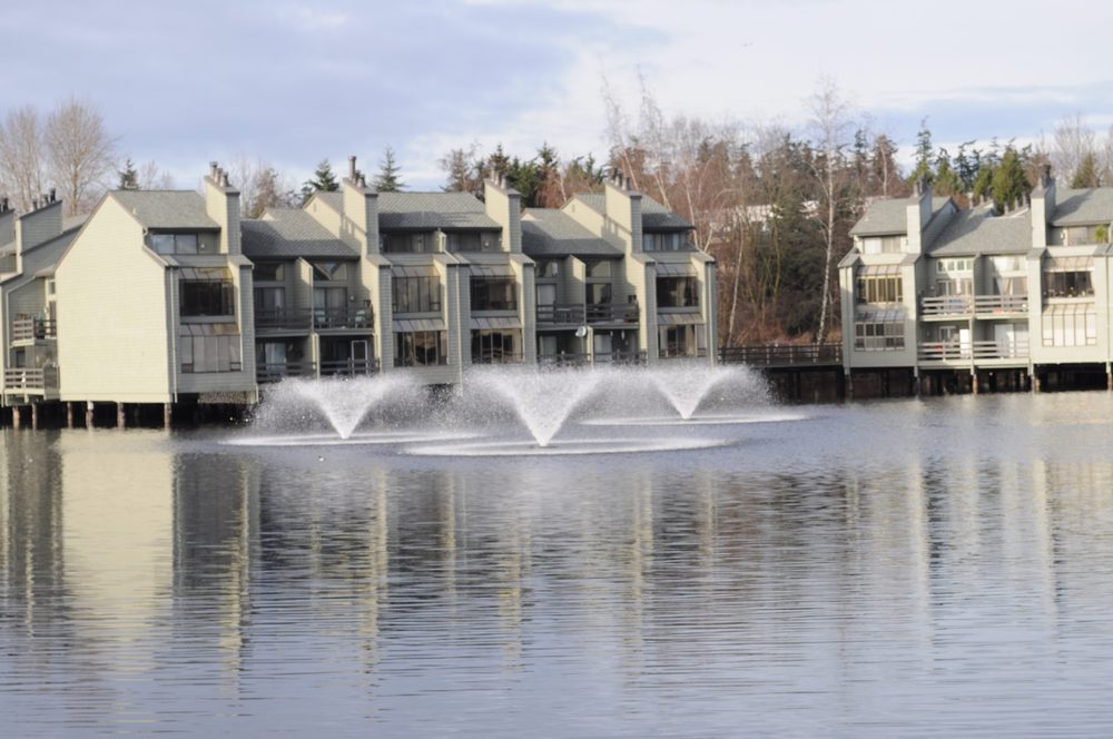 image of business Lake Bellevue Dental Care, Inc.