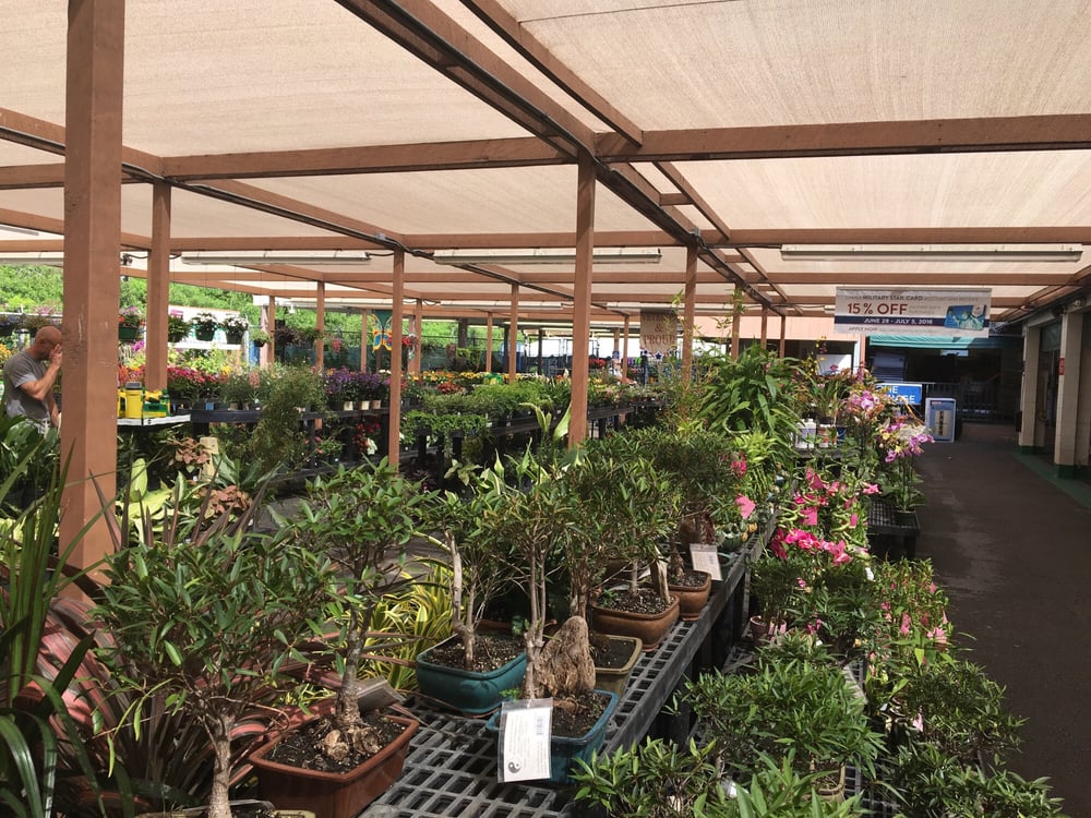 Nex Outdoor Living Center 30 Photos 21 Reviews Nurseries Nex Outdoor Living Center 30 Photos 21 Reviews Nurseries Gardening 4725 Bougainville Dr Honolulu Hi Phone Number Yelp