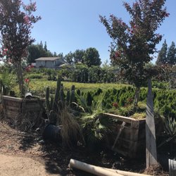 Cal Mex Nurseries Gardening 2612 S Haven Ave Ontario Ca Photo Of Cal Mex Ontario Ca United States