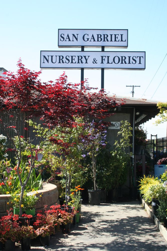 Photos For San Gabriel Nursery Florist Yelp Photo Of San Gabriel Nursery Florist Ca United States