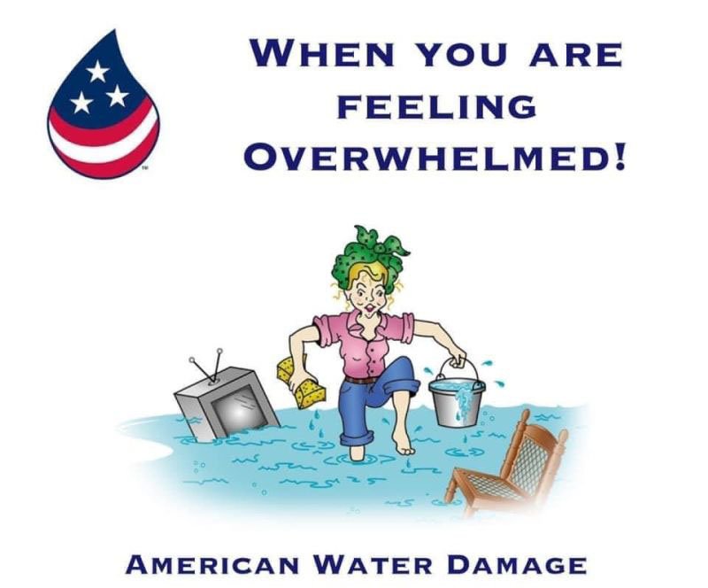 American Water Damage