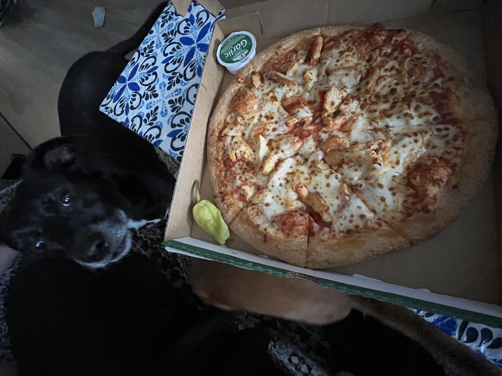 Papa Johns Pizza