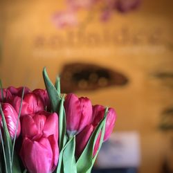 Anal Creampies kuvia