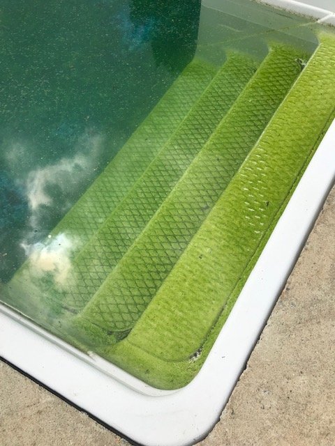 Ahner Inground Pools Unlimited