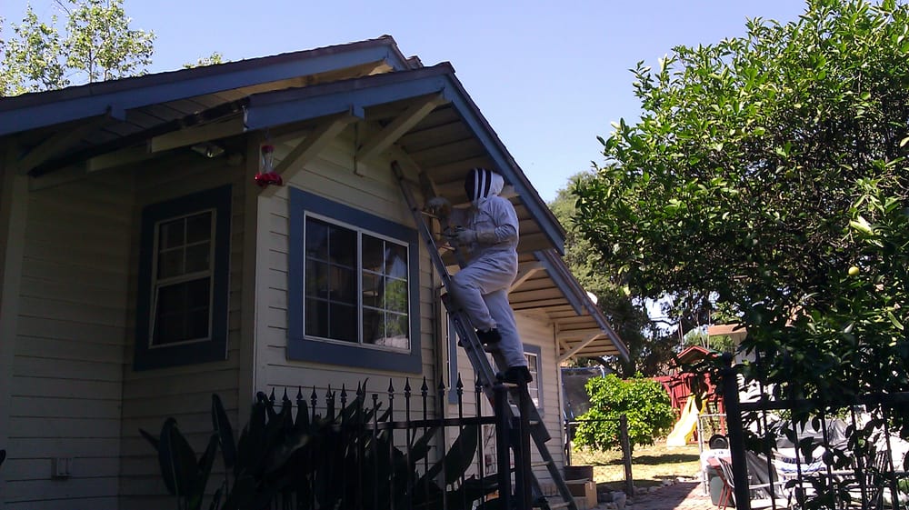 Don's Drop Dead Pest Control