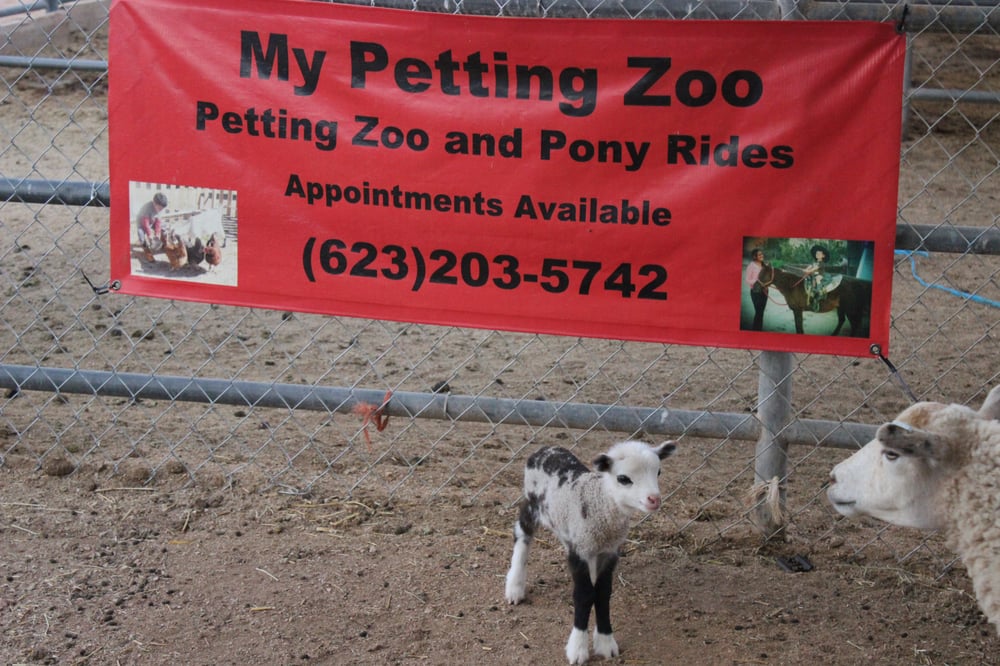 My Petting Zoo LLC CLOSED 13 Photos Zoos 6414 E Calle de Las