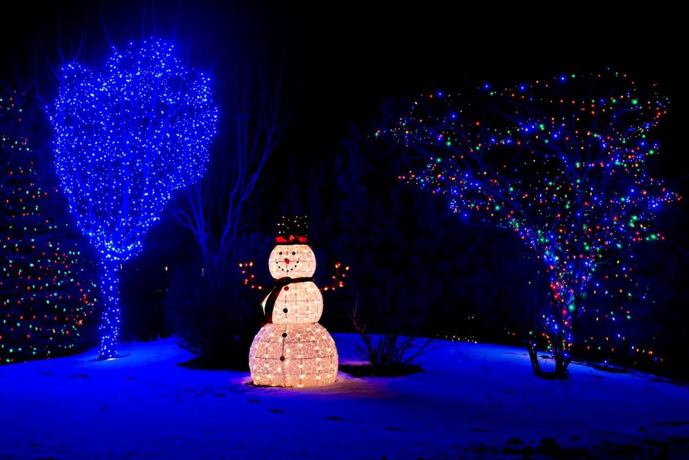 pro christmas lights christmas lights card and decore pro christmas lights christmas lights card and decore