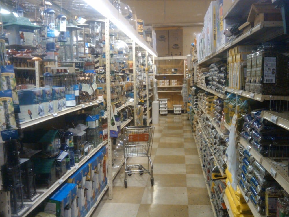 birdseed and bird feeder aisle yelp birdseed and bird feeder aisle yelp