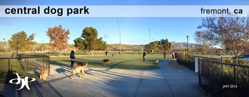 Central Park Dog Park Fremont Central Park Dog Park Fremont