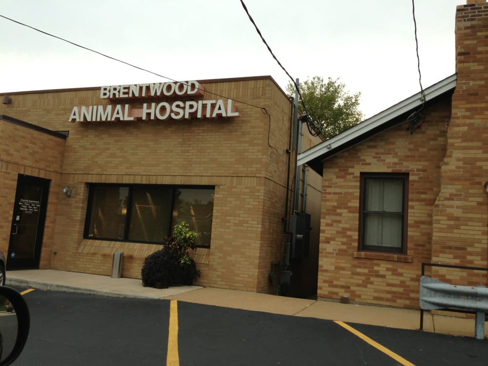 Brentwood Animal Hospital 10 Reviews Veterinarians Brentwood
