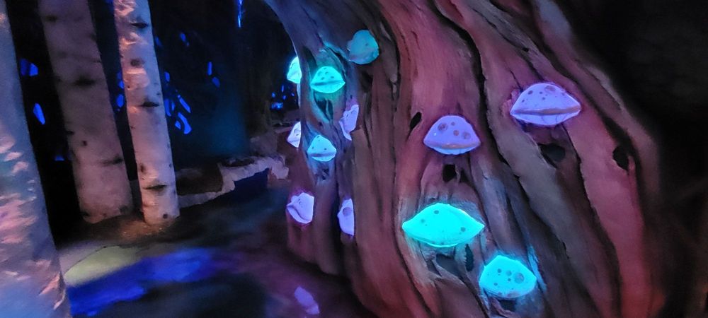The Real Unreal - Meow Wolf