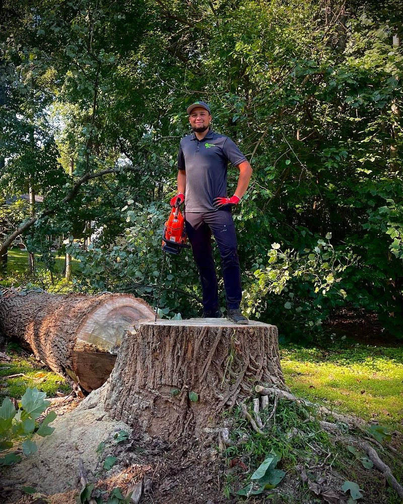 Carolina Turf Lawn And Landscape