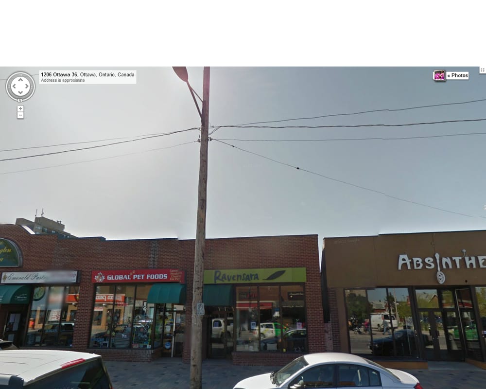 global pet food pet shops reviews ottawa on canada global pet food pet shops reviews ottawa on canada