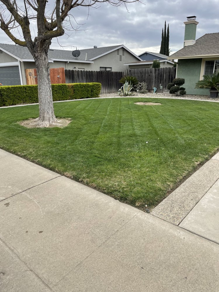 Olivares Lawn Maintenance