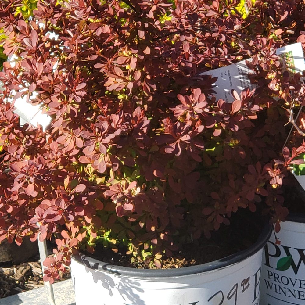 Rolling Meadows Landscape & Garden Center