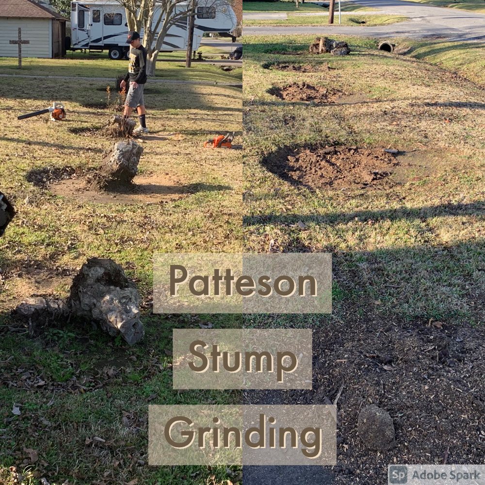 Patteson Stump Grinding