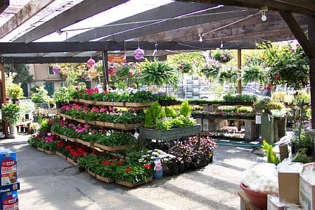 Dennis 7 Dees Landscaping Garden Center 10455 Sw Butner Rd Dennis 7 Dees Landscaping Garden Center 10455 Sw Butner Rd Portland Or Nurseries Mapquest