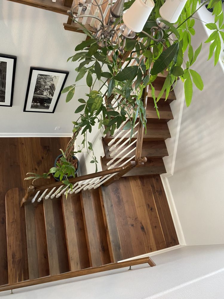 Rubio's Flooring Services