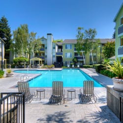 Mill Creek Apartments 54 Photos Reviews 440 Photo Of Mill Creek Apartments Milpitas Ca United States Swimming Pool